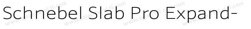 Schnebel Slab Pro Expand字体转换